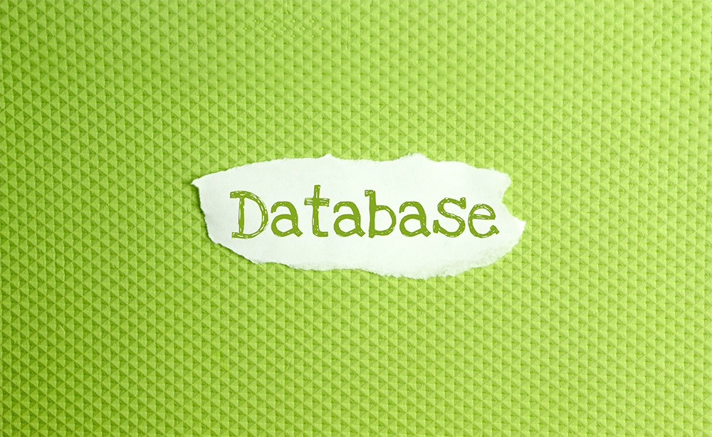 data baser